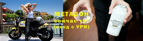 индика Дмитров