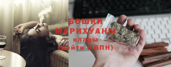 стаф Елабуга