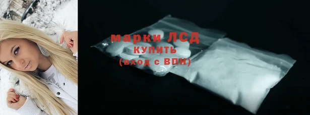 стаф Елабуга