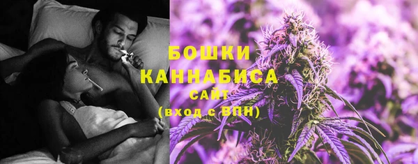 стаф Елабуга