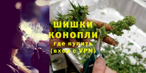 стаф Елабуга